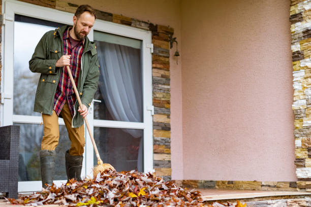 Best Attic Cleanout Services  in Minier, IL